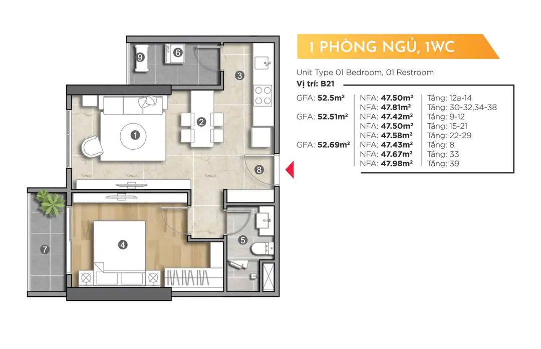 Thiết kế Studio